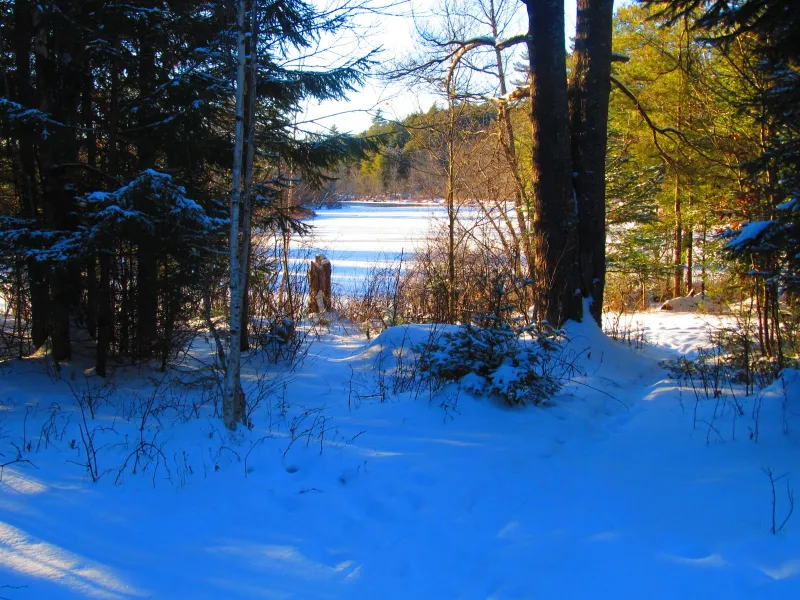 View the Raquette River by skiing into Trombley's Clearing