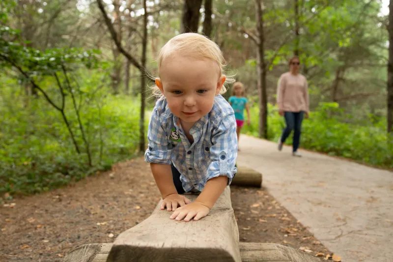 A small blond child crawls on a wooden log next to a wooded path.