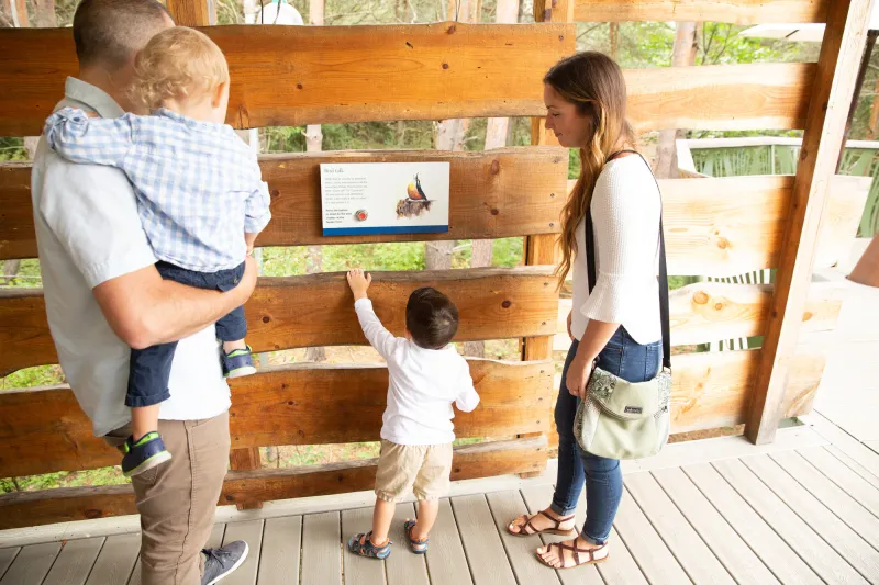 Two adults and two small children look at an outdoor museum display.