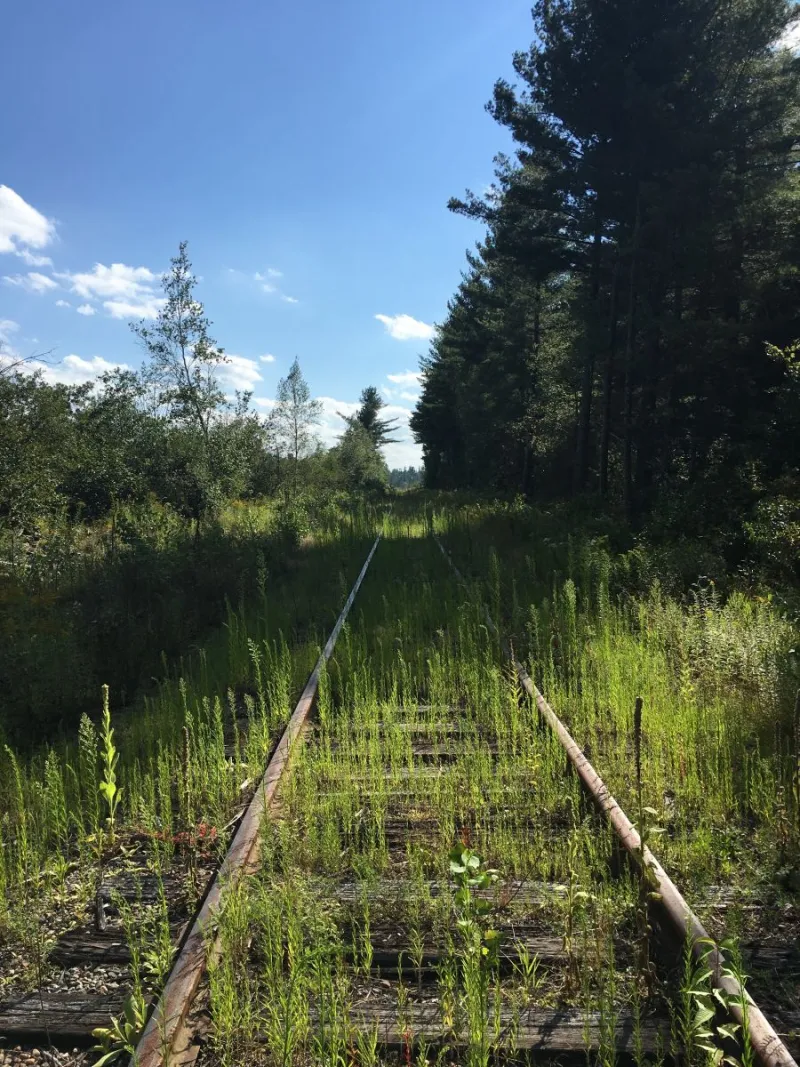 Sabattis railroad crossing in spring.