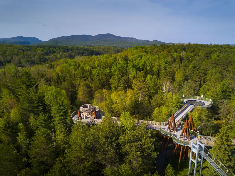 An aerial view of the Wild Walk, forest, and mountains beyond.