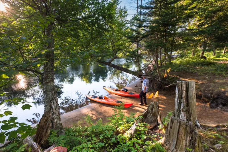 Two kayaks sitting on the shore of the river with a lush forest surrounding.
