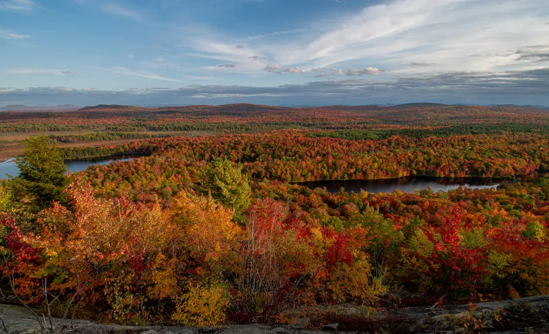 The bright foliage from Hitchins Overlook.
