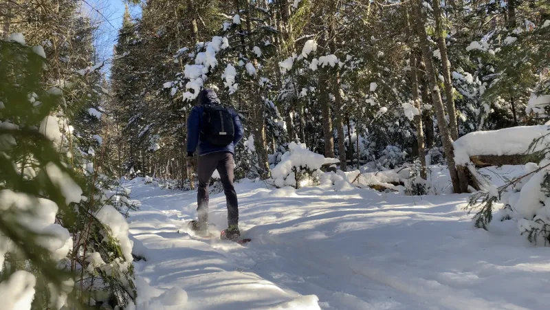 The author snowshoes down the trail. The conifers all around are blanketed in snow.