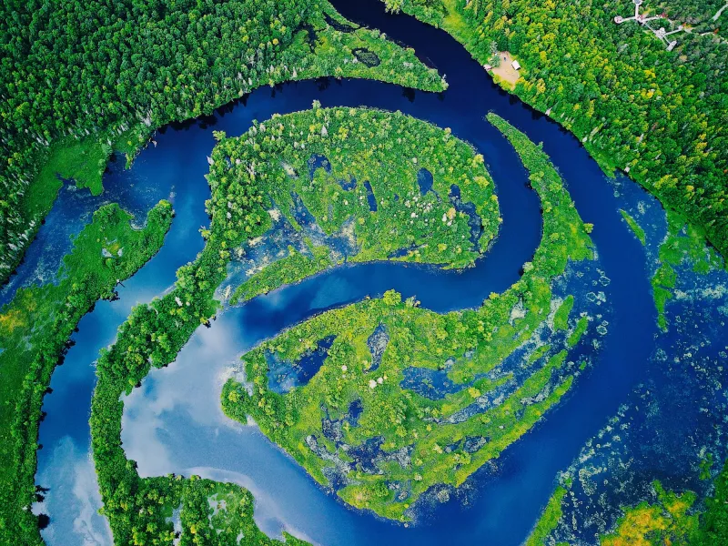 Aerial view of river bends and green forest