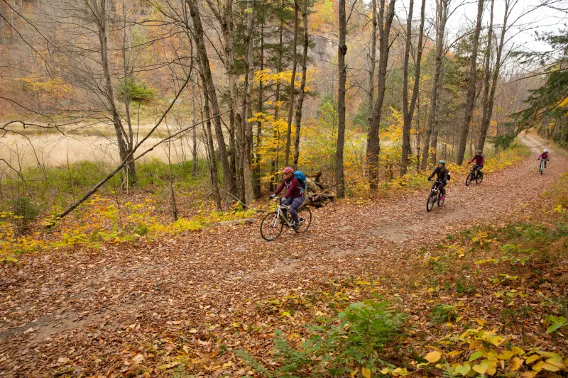 Four people ride bicycles on a flat trail through the colorful fall woods.