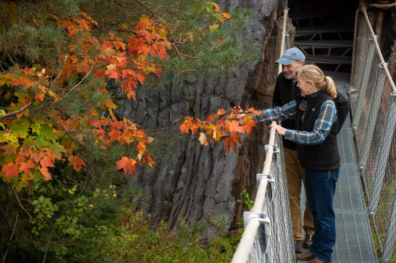 A couple stands on a bridge in the brilliant autumn foliate at The Wild Center