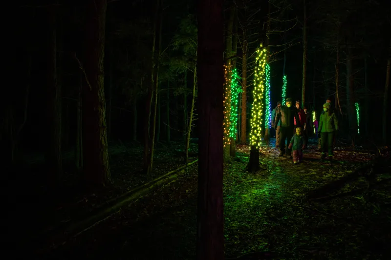 A family walks through a lit forest at The Wild Walk, the trees glowing with color lights and fresh snow on the ground.