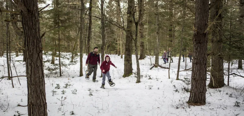A family of four romps through the snow covered woods on snowshoes