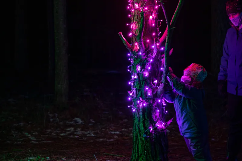 A young child admires the glowing lights of Wild Lights at The Wild Center