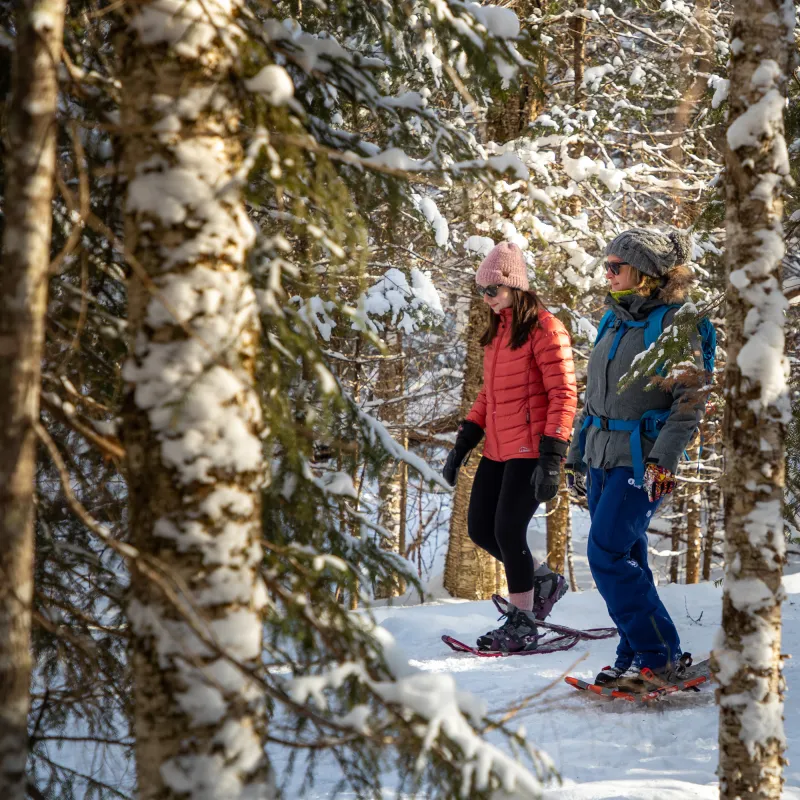 Two women snowshoe through a pine tree forest covered in snow
