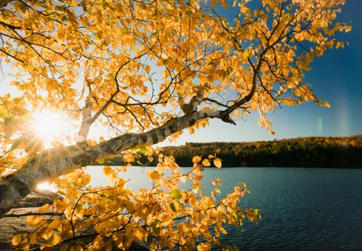 Fall foliage over an Adirondack lake.