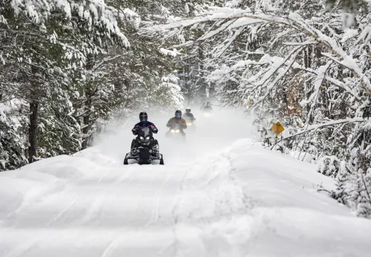 Three snowmobiles drive toward the camera on a snowy, forested trail.