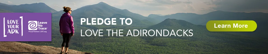 Love your ADKs pledge banner showing a hiker standing in the foreground and mountains in the background