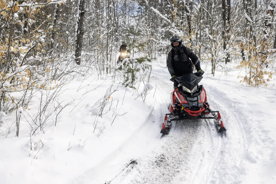 A snowmobiler stands up on their sled while making a gentle turn in a snow-laden forest.