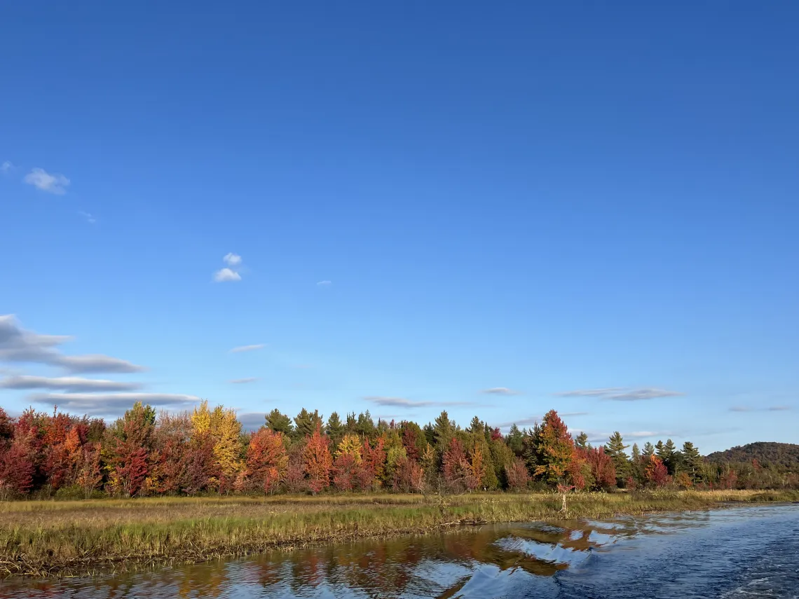 a view of peak fall foliage in the Tupper Lake region