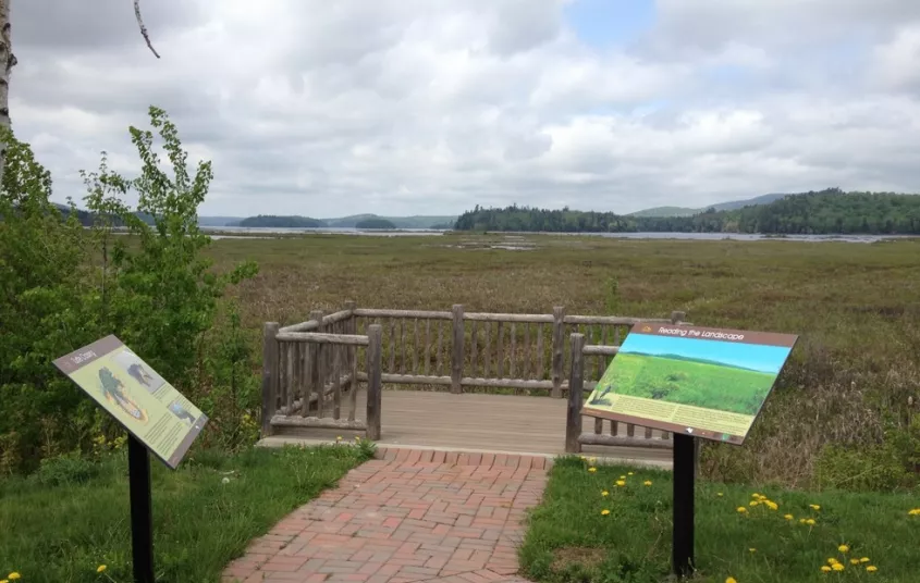 There are two wetland viewing areas along the Route 30 causeway.