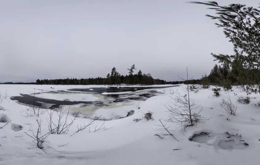 Winter brings lovely views of the Raquette River.
