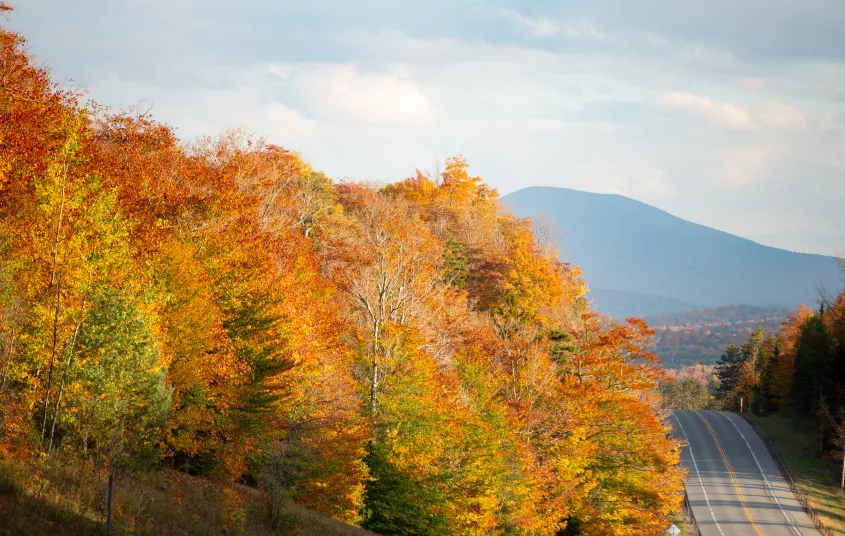 This wilderness area is a great place to view fall foliage.