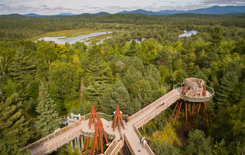 Aerial view of the portion of The Wild Walk&#44; where people walk along the treetops of the Adirondack forest