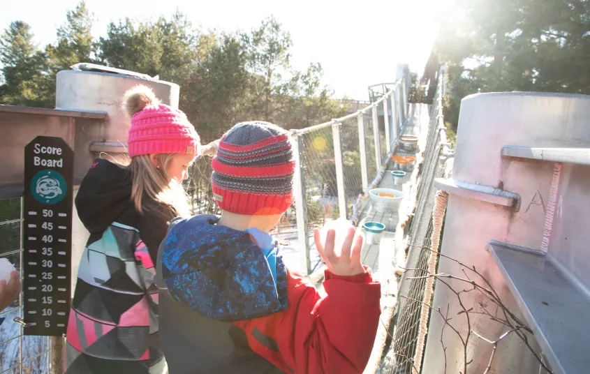 Two children play a game throwing snowballs into buckets set up on a suspended walkway on the Wild Center's Wild Walk