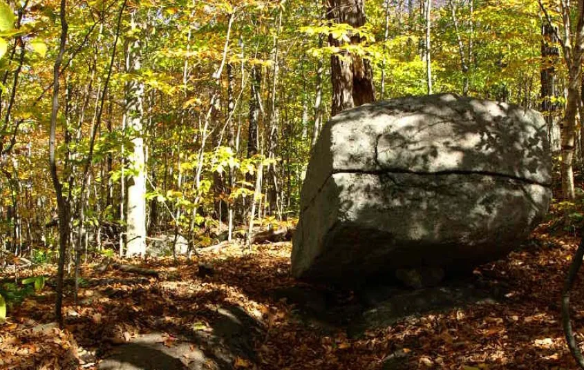 A big boulder in the woods