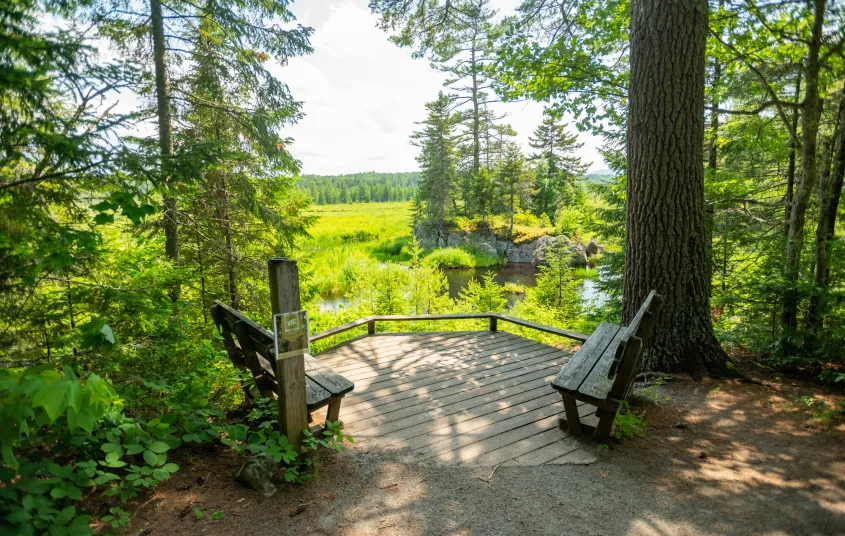 Scenic overlook at Paul Smith's VIC
