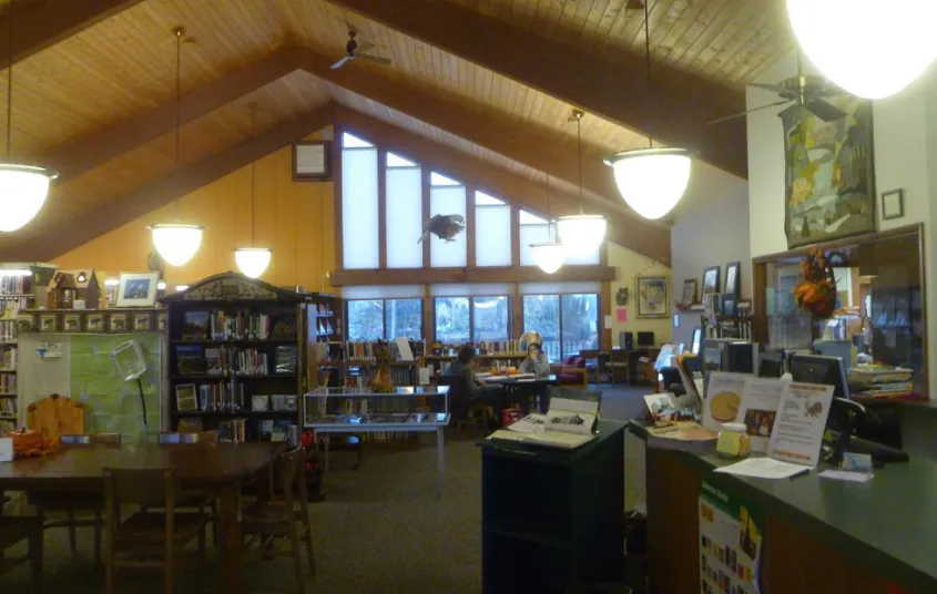 The wall of windows illuminates the shelves of books