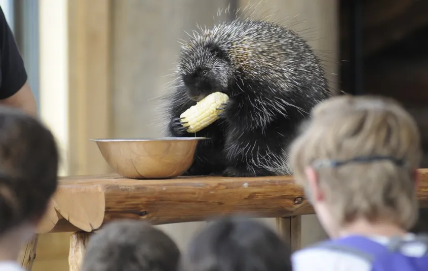 Dozens of children playing on the outdoor spiderweb exhibit