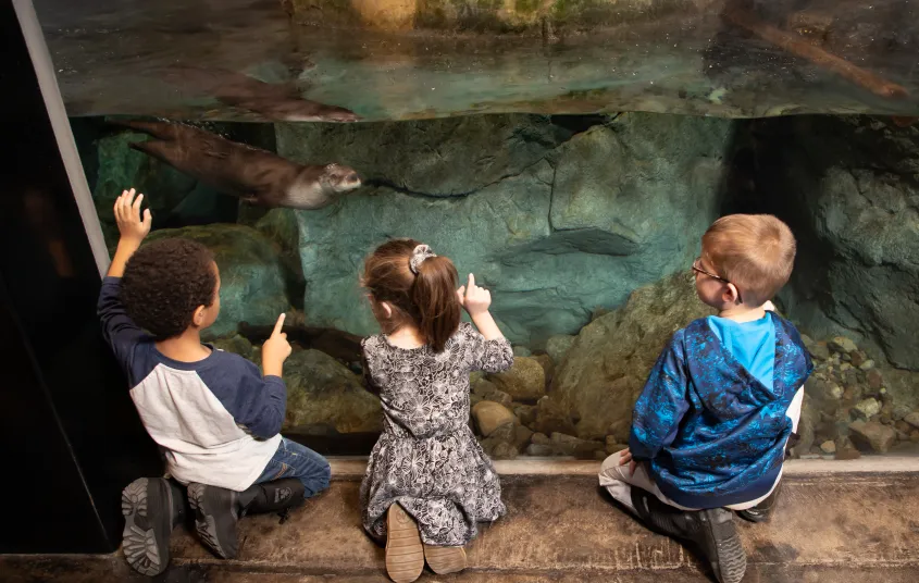 A young child gleefully looks down at his hand holding a freshly made snowball