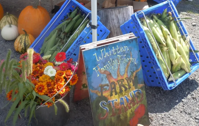 Painted sign for the ADK Food Hub.