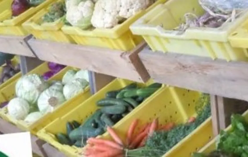 Buckets and shelves of veggies in the cooler