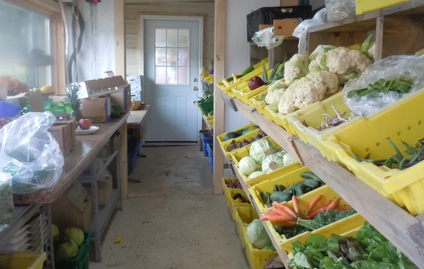 Shelves of buckets full of veggies