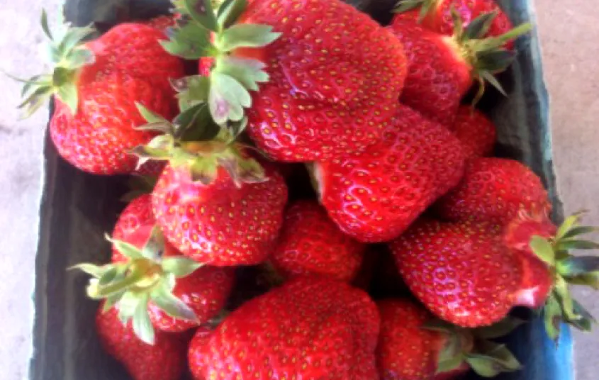 Ripe red strawberries