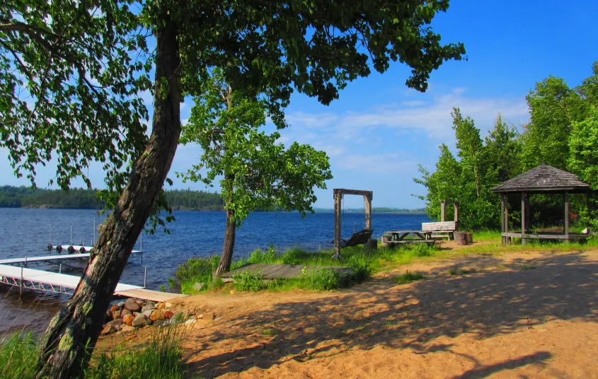 A large shade tree by the lake.