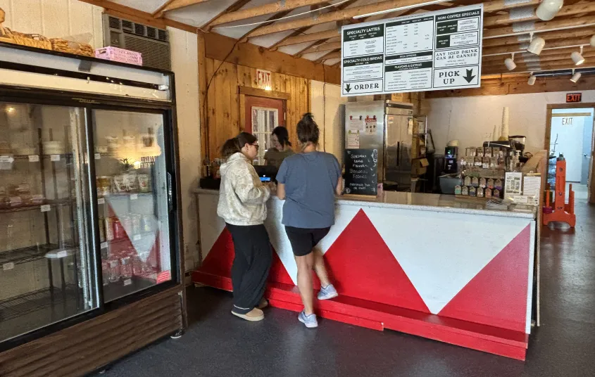  plants and natural light