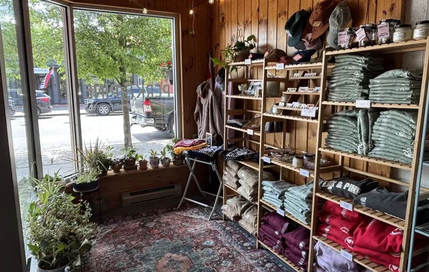 A sunroom with lush carpet