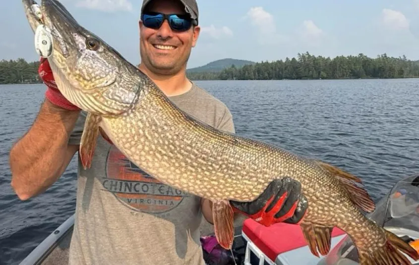 A smiling man holds a huge pike