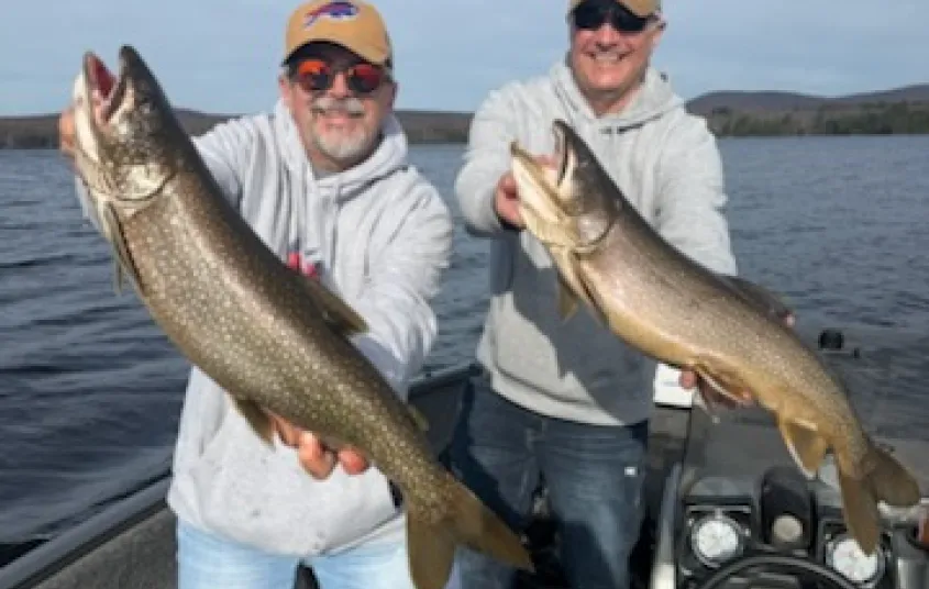 Two men each holding a huge fish.