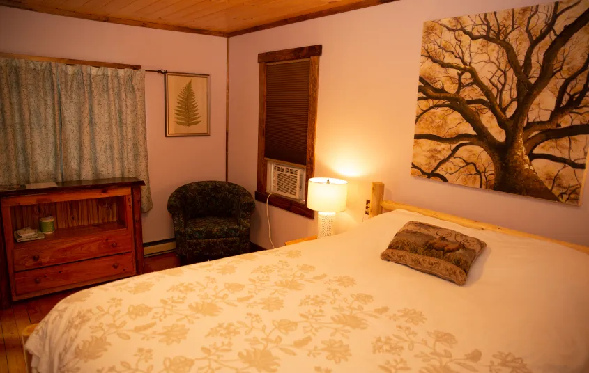 A warmly light bedroom with tree decor.