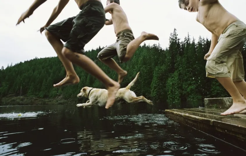 Kids and a dog jump from a dock into the water