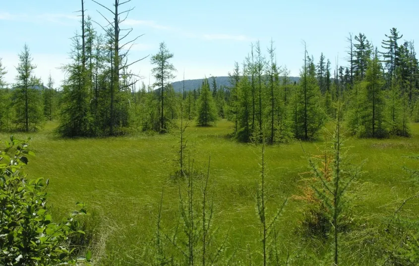 Large meadows with distant mountains.