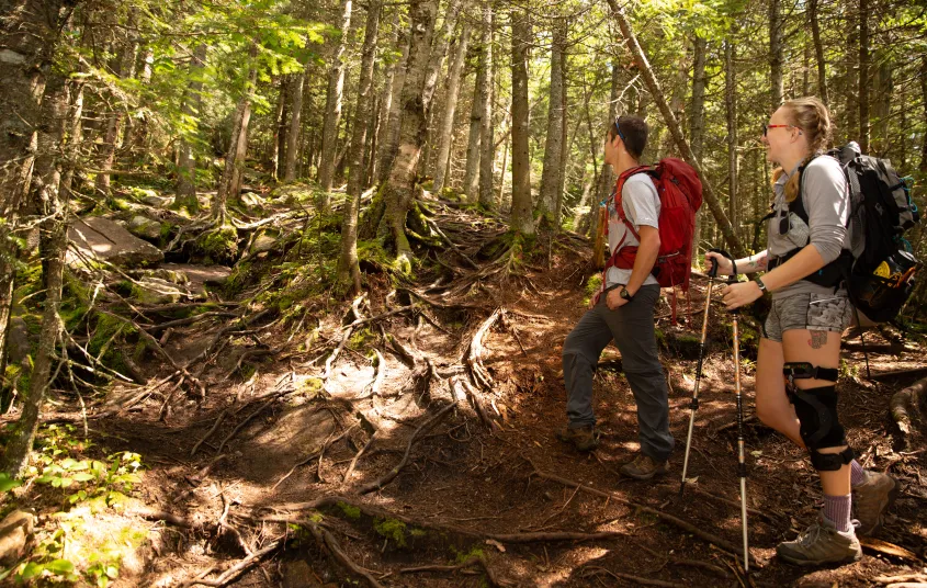 Two hikers going up a trail