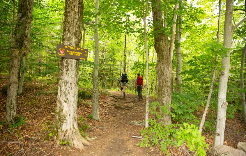 Two hikers on a trail