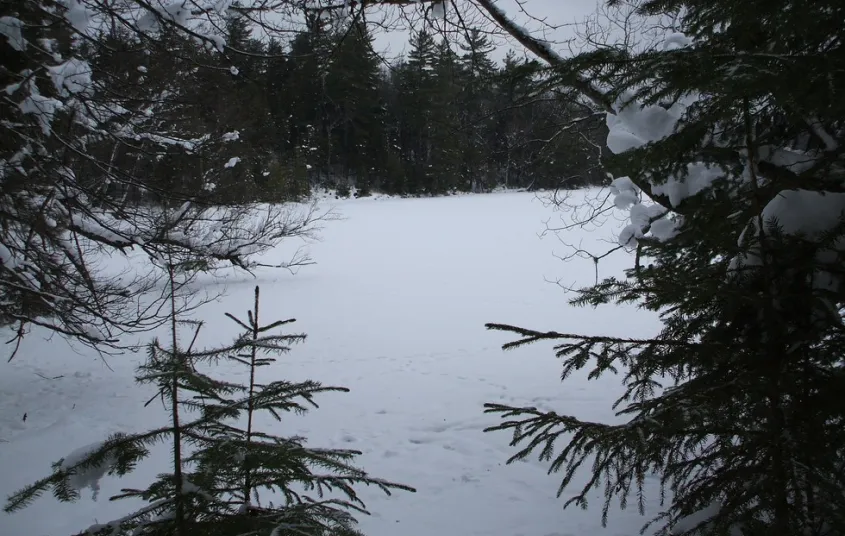 A view of a pond along the Otter Hollow trail loop.