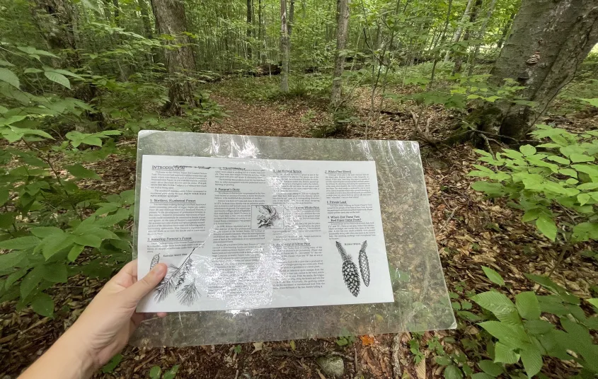 A laminated interpretive brochure for a nature trail.