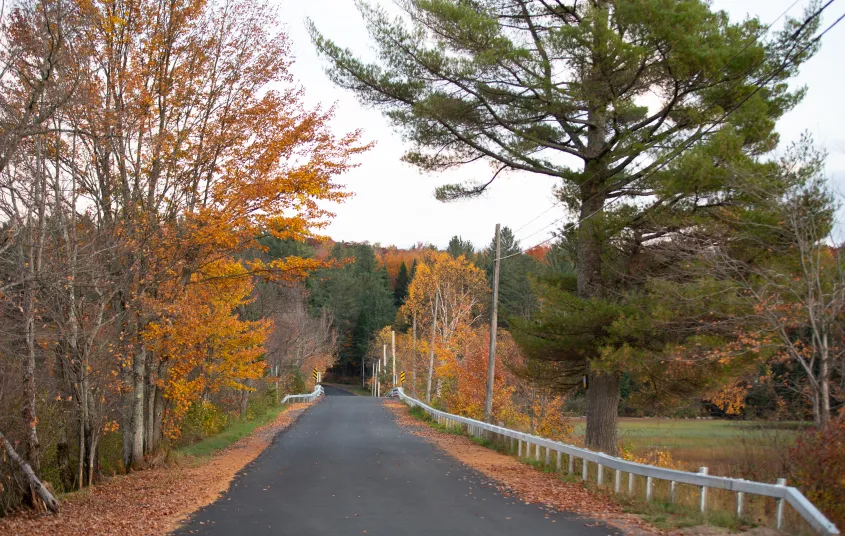 This road leads to adventure!