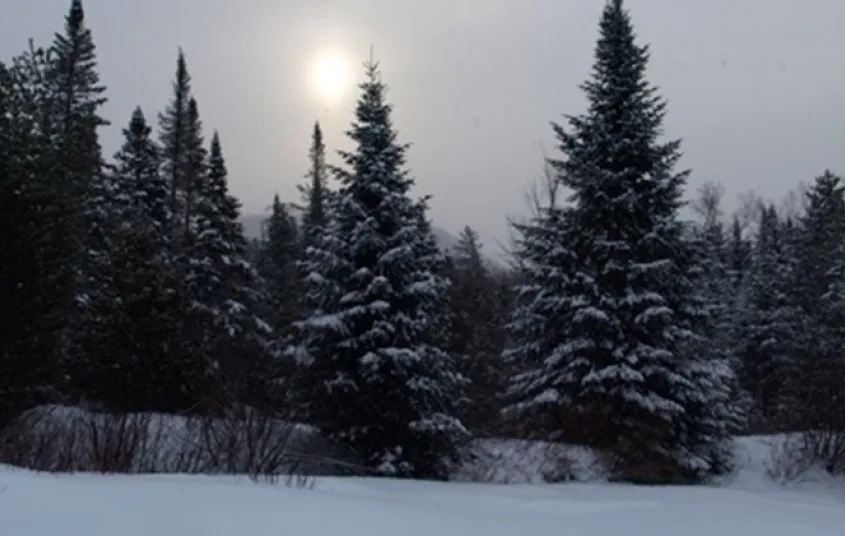  including overnights.