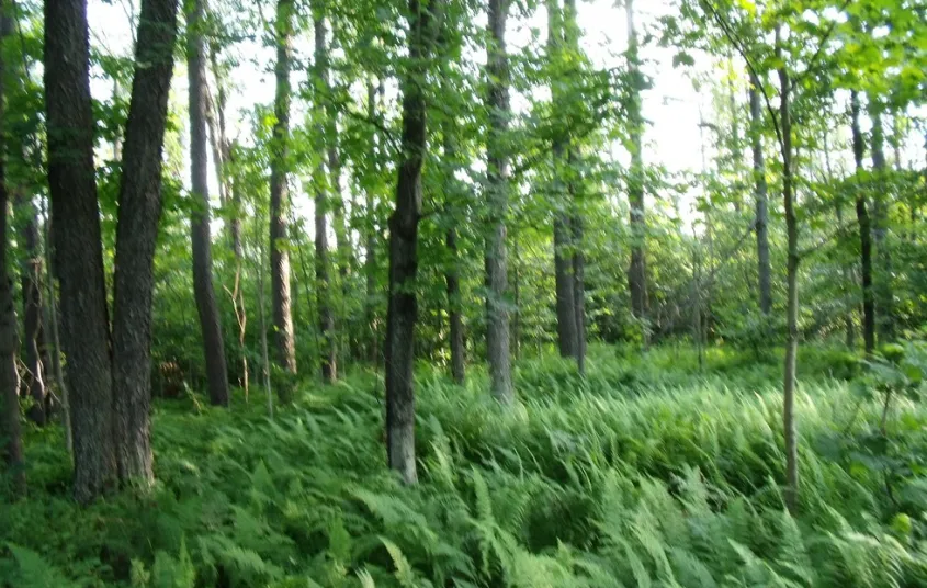 This trail can be a hike of any length