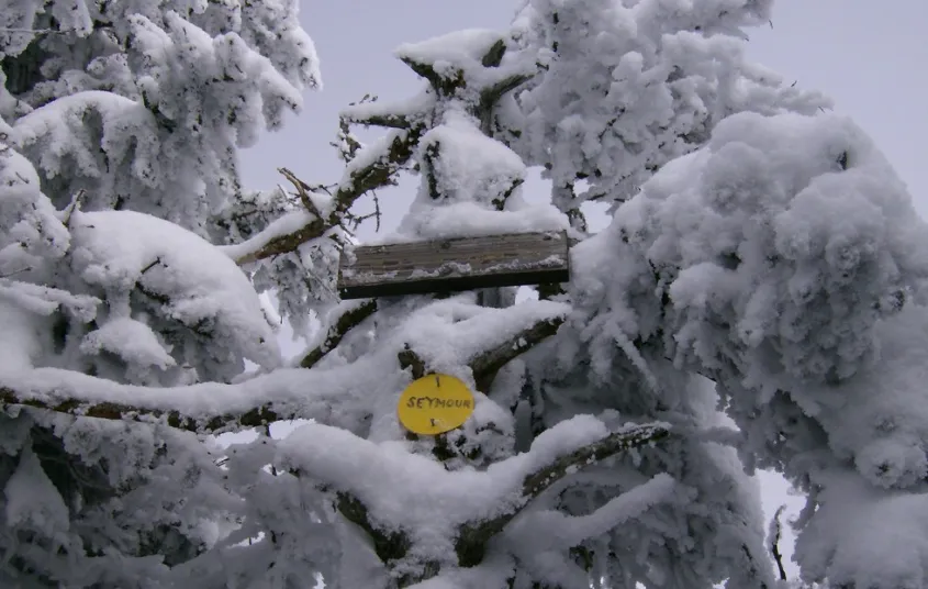 The summit is wooded